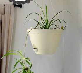 how to have lush healthy houseplants with less watering, gardening, home decor