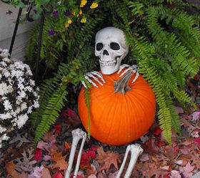 Halloween And Fall Of 2014 Hometalk