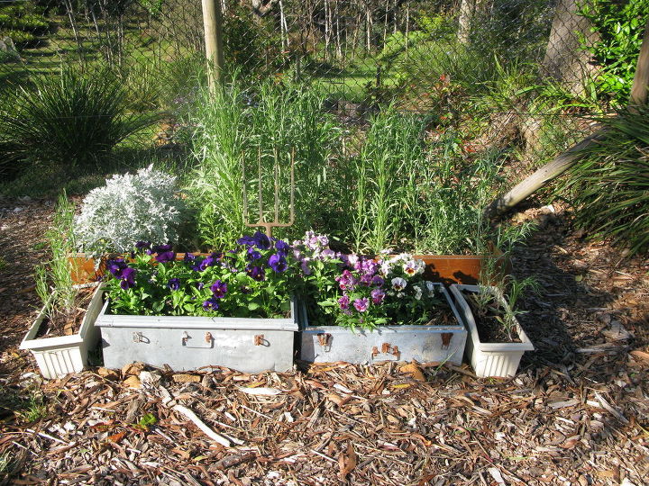 more spring photos of my garden, container gardening, gardening, repurposing upcycling