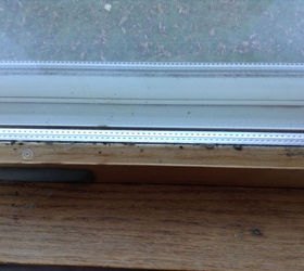 how do i remove mold from window sashes and frames, Note the mold on the sill