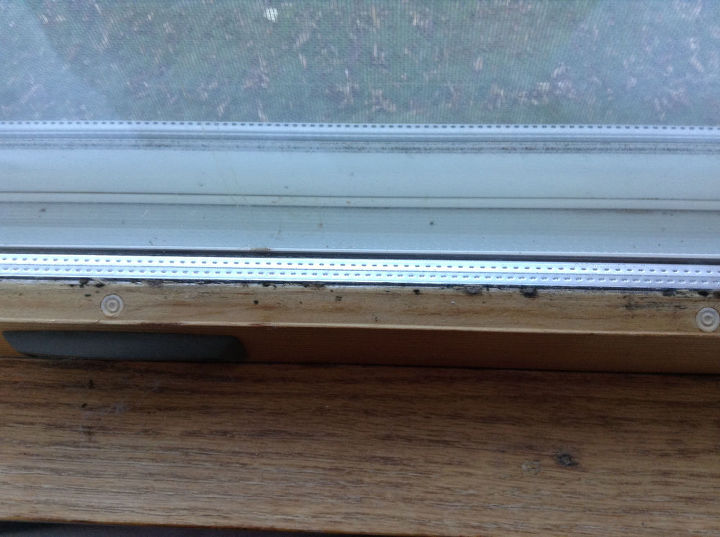 como posso remover o mofo das folhas e caixilhos das janelas, Observe o molde no peitoril da janela