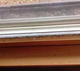 how do i remove mold from window sashes and frames, Same here different room