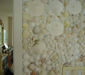 What to do with sand dollars? Hometalk