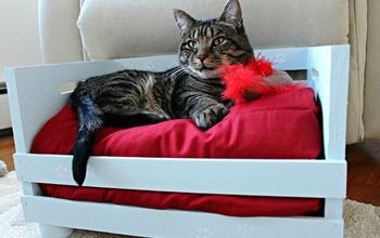 DIY Cama para gatos en caja