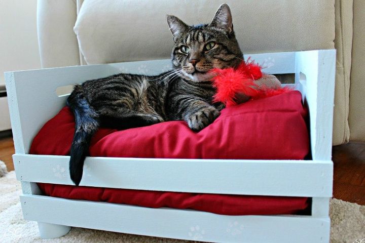 diy cama para gatos en caja