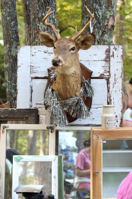 s the top 13 trends from the 2015 country living fair, christmas decorations, gardening, home decor, home improvement, home maintenance repairs, home office, painted furniture, repurposing upcycling, seasonal holiday decor, wall decor, Taxidermy