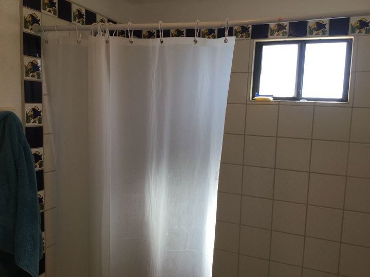 paint plastic shower curtain