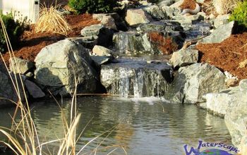 Water Features - Pond