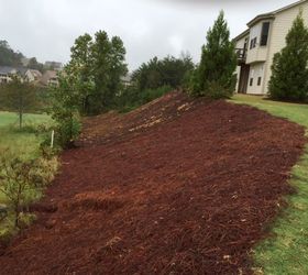 q planting a hillside, gardening, landscape, lawn care
