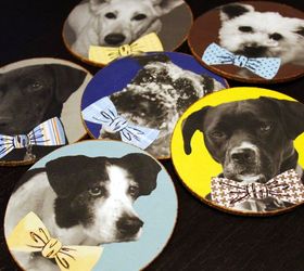 debonair dog coasters makes a perfect diy gift, crafts, decoupage, how to