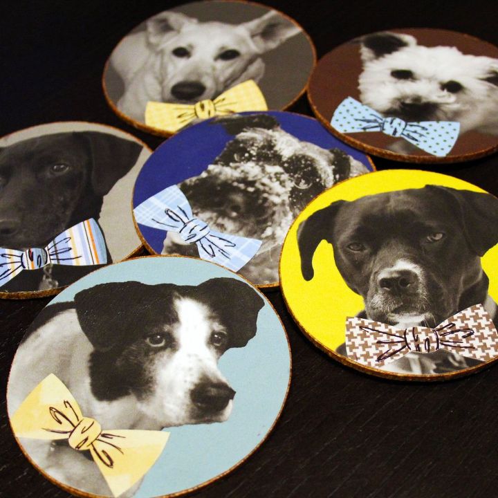 debonair dog coasters makes a perfect diy gift, crafts, decoupage, how to