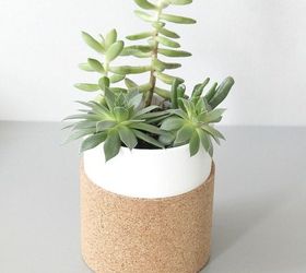 cork succulent planter, container gardening, flowers, gardening, how to, succulents