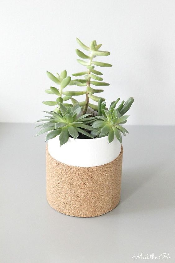 cork succulent planter, container gardening, flowers, gardening, how to, succulents