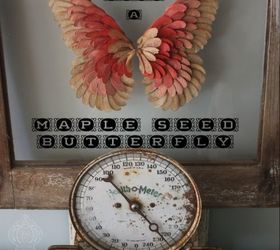 maple seed butterfly art, crafts, home decor, wall decor