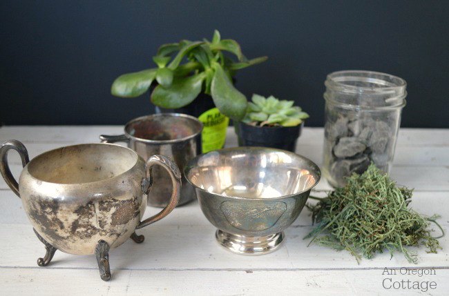 5 thrifted silver cups succulents, container gardening, repurposing upcycling, succulents