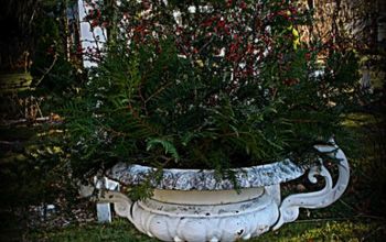 Decorate a Garden Urn for Christmas