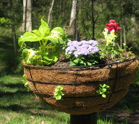 hanging baskets a different take, crafts