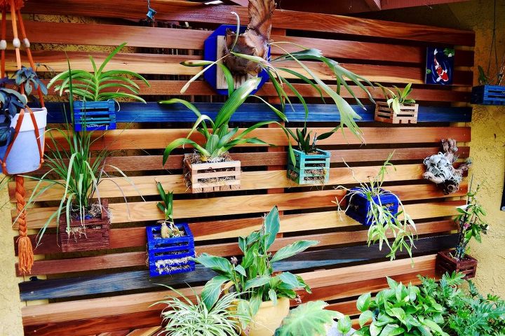 building a vertical orchid garden wall