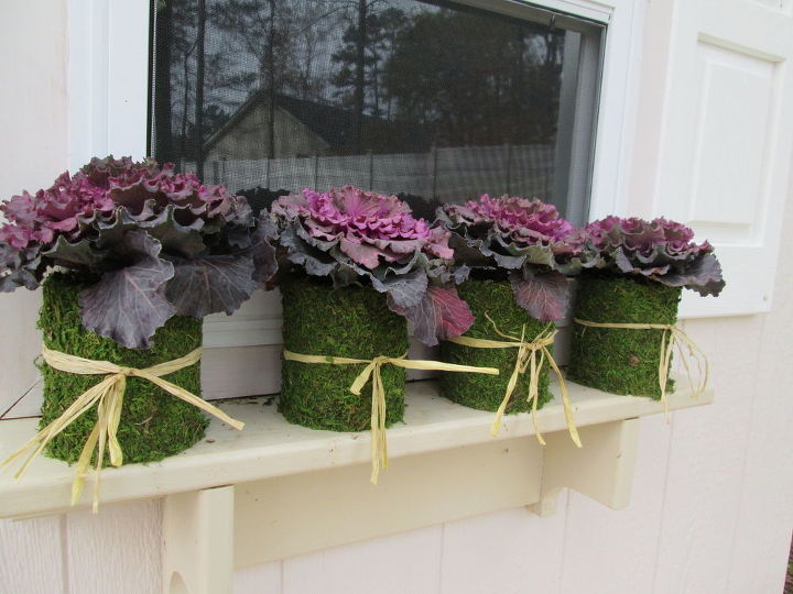come see the many uses for moss cover for the holidays, christmas decorations, crafts, seasonal holiday decor