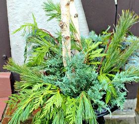 how to make great outdoor arrangements for christmas, christmas decorations, container gardening, gardening, how to, seasonal holiday decor