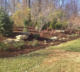 Fall Landscape Buffer Planting | Hometalk