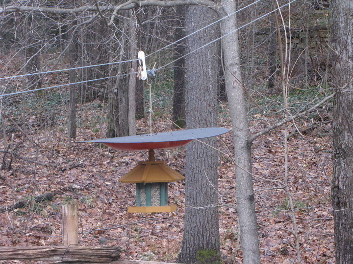the defeeder make your hanging bird feeder squirrel proof, crafts, outdoor living, pets animals