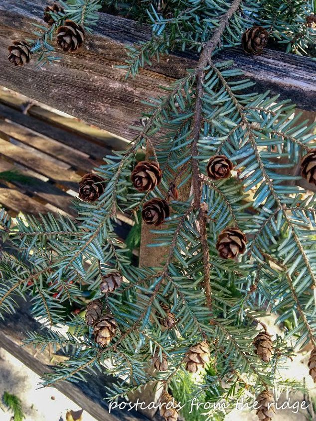 simple natural diy christmas wreaths, christmas decorations, seasonal holiday decor, wreaths