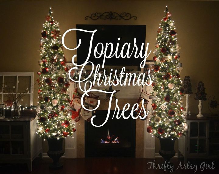 diy topiary skinny christmas trees in urns