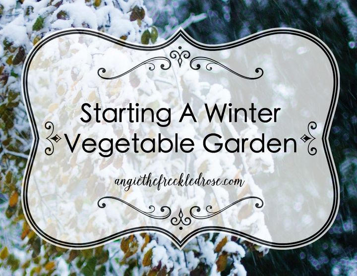 como iniciar um jardim de inverno