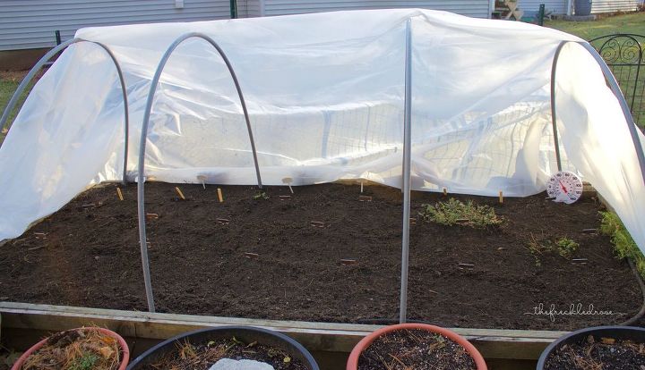 starting a winter vegetable garden, gardening, how to, landscape, outdoor living