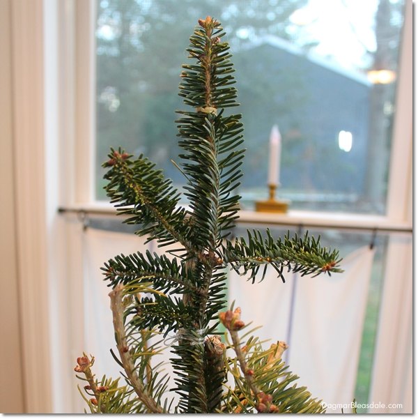 how to make a christmas tree look fuller and taller for free, christmas decorations, seasonal holiday decor