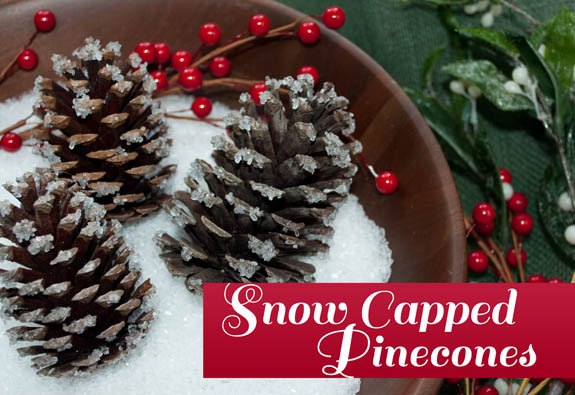 diy snow capped pinecones, christmas decorations, crafts, seasonal holiday decor