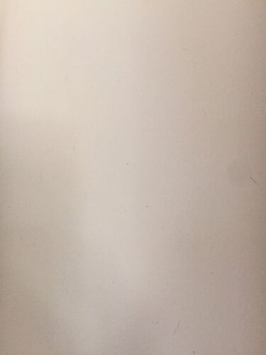 Wall color it is like a beige with a purple hugh undertone.