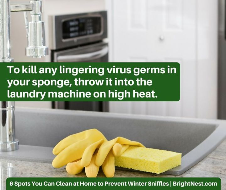 clean home prevent winter sniffles, cleaning tips, Kitchen Sponge