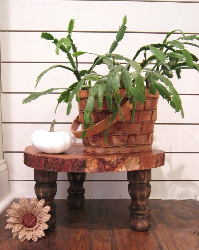 13 things that look shockingly better when you add legs, Wood Slices