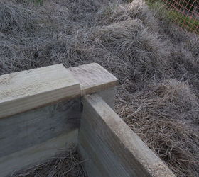 raised beds with almost no nails