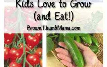  Legumes e frutas que as crianças adoram crescer (e comer!)