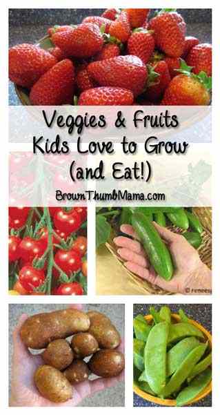 verduras y frutas que los nios adoran cultivar y comer