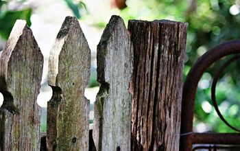 Causes of Mildew on a Wood Fence