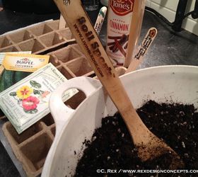 the best seed starting tips ever, container gardening, gardening