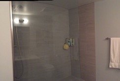 what to do with a contemporary bathroom wall, Walk in shower