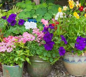 boost your garden with these 8 fall planting ideas, container gardening, flowers, gardening, 1 Create a Container Garden
