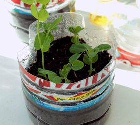 13 surprising shortcuts to starting seeds indoors, Make a mini greenhouse from a water bottle