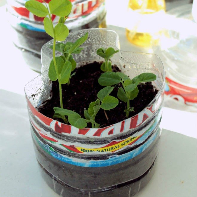 13 surprising shortcuts to starting seeds indoors, Make a mini greenhouse from a water bottle