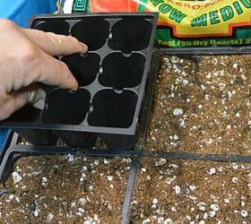 13 surprising shortcuts to starting seeds indoors, Use an empty insert to compact your medium