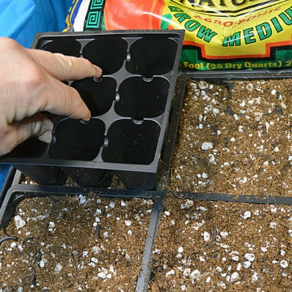 13 surprising shortcuts to starting seeds indoors, Use an empty insert to compact your medium
