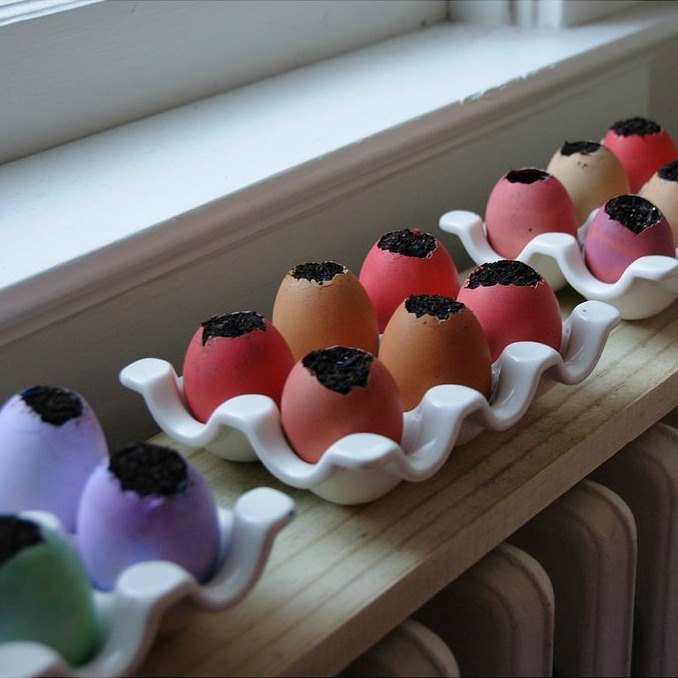 13 surprising shortcuts to starting seeds indoors, Plant seeds in nutrient rich eggshells