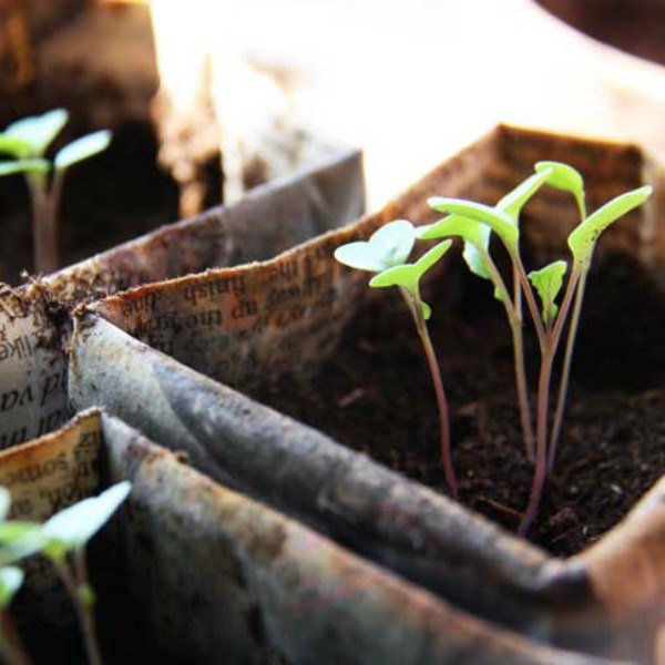13 surprising shortcuts to starting seeds indoors, Make biodegradable newspaper pots