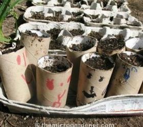 13 surprising shortcuts to starting seeds indoors, Or use toilet paper tubes to plant