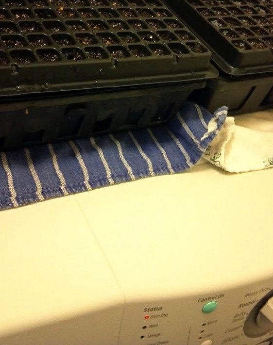 13 surprising shortcuts to starting seeds indoors, Instead of a heat pad put trays on the washer